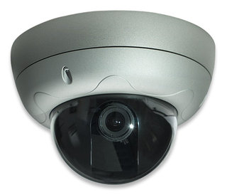 Intellinet PRO SERIES NETWORK HIGH RES Dome