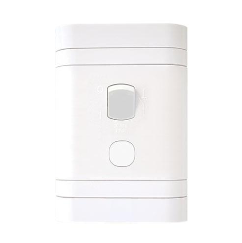 Lesco 2 Pole Flush Isolator Switch with Rectangle