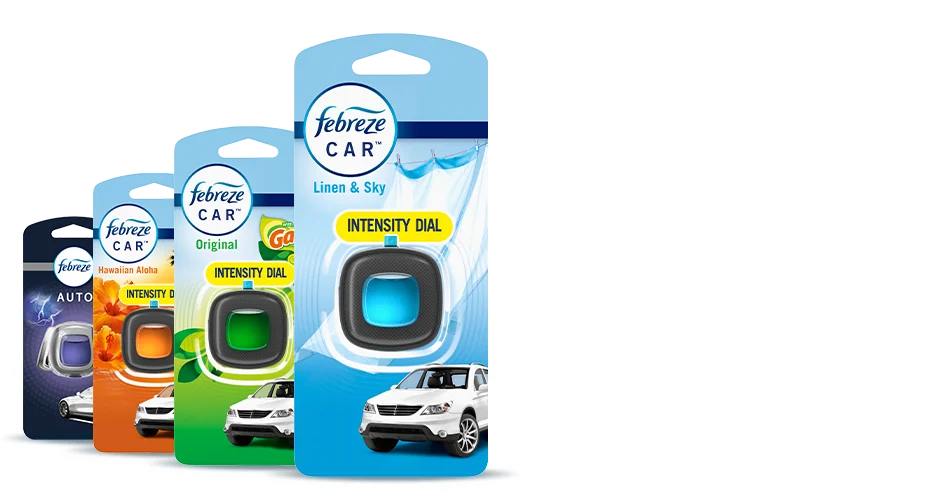 Car Air Fresheners