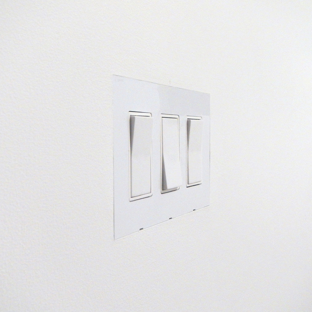 Flush Switches