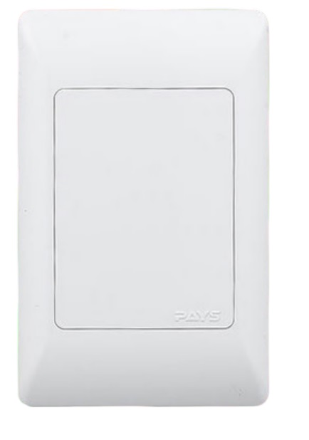 Noble Pays 4x2 Blank Cover Plate