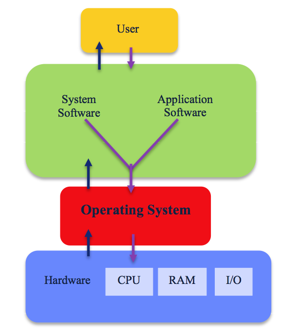 Software: Operating System